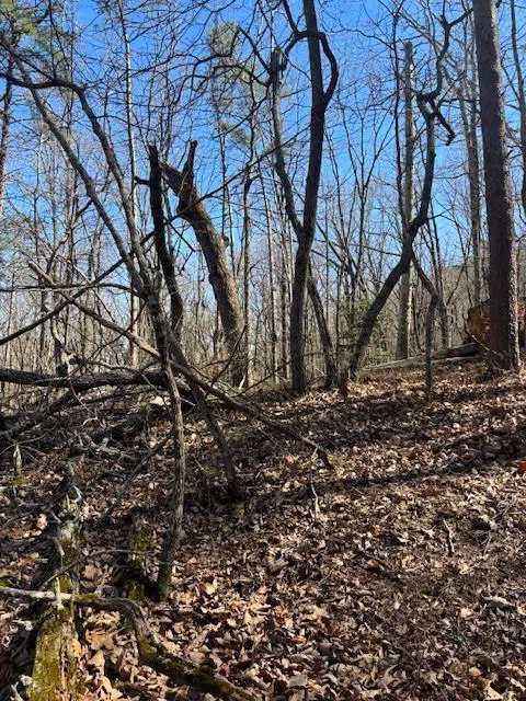 125 Gum Wood Court Waleska, GA 30183