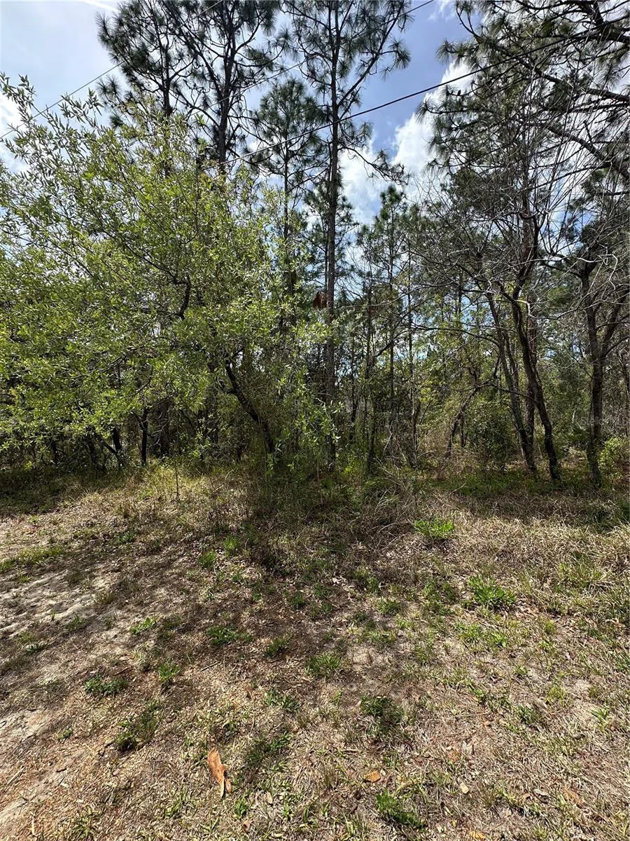 2 FRINGETREE COURT Homosassa, FL 34446