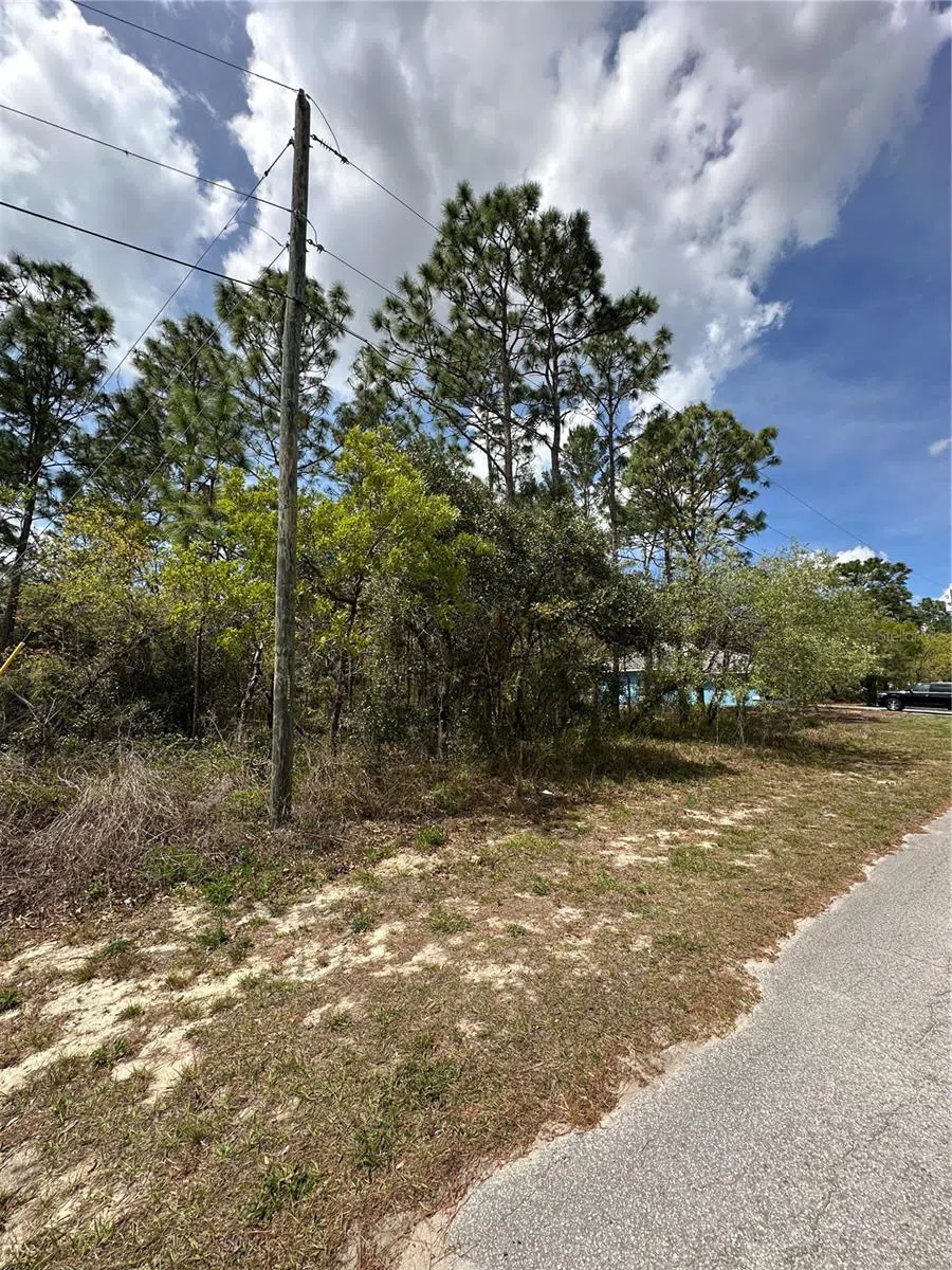 2 FRINGETREE COURT Homosassa, FL 34446