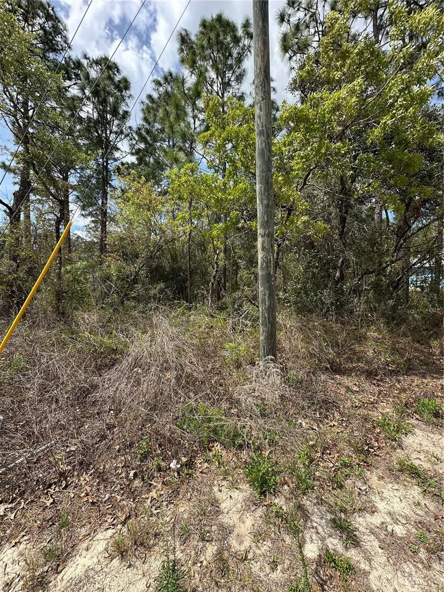 2 FRINGETREE COURT Homosassa, FL 34446