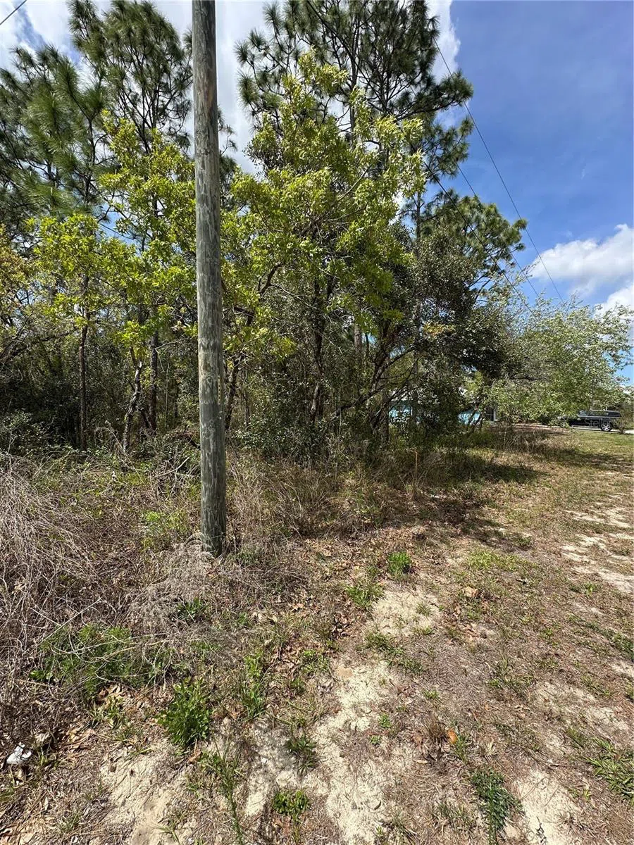 2 FRINGETREE COURT Homosassa, FL 34446