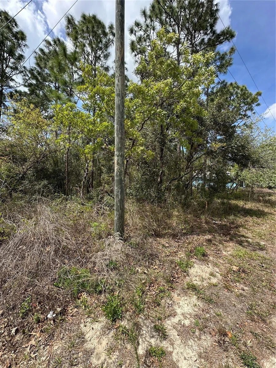 2 FRINGETREE COURT Homosassa, FL 34446