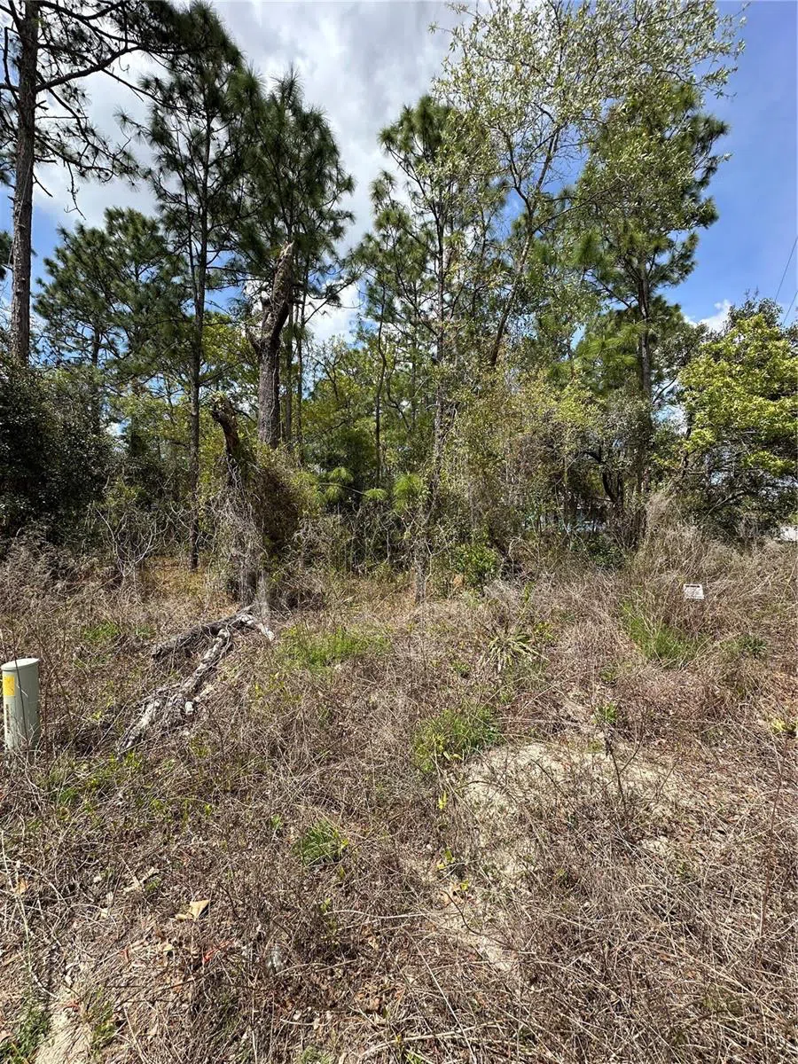 2 FRINGETREE COURT Homosassa, FL 34446