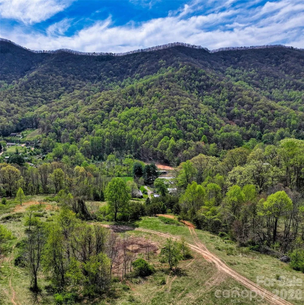 1567 Newfound Road Leicester, NC 28748