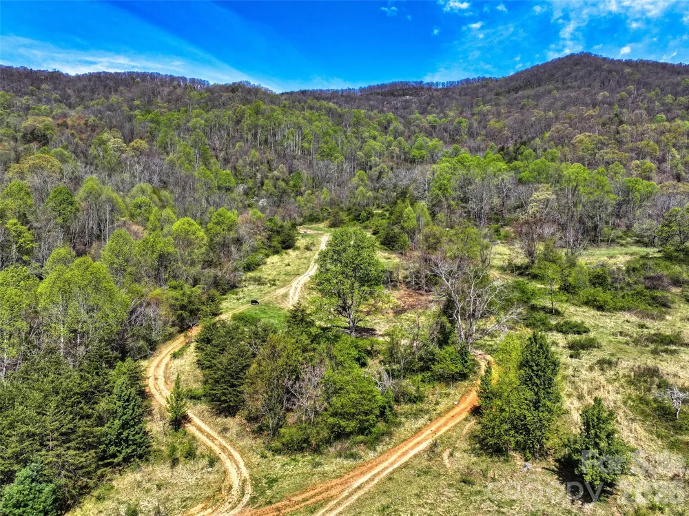 1567 Newfound Road Leicester, NC 28748