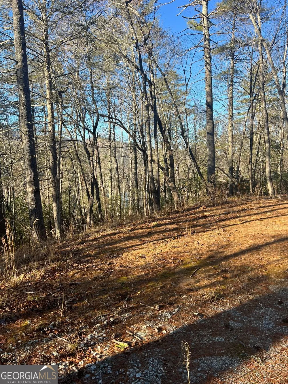 0 Sylvan Lake DR Rabun Gap, GA 30568