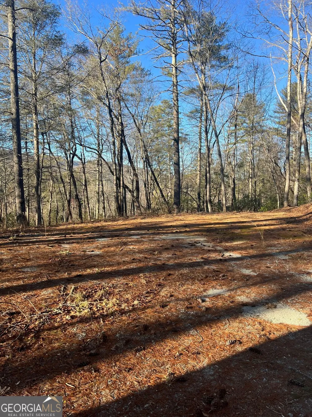 0 Sylvan Lake DR Rabun Gap, GA 30568
