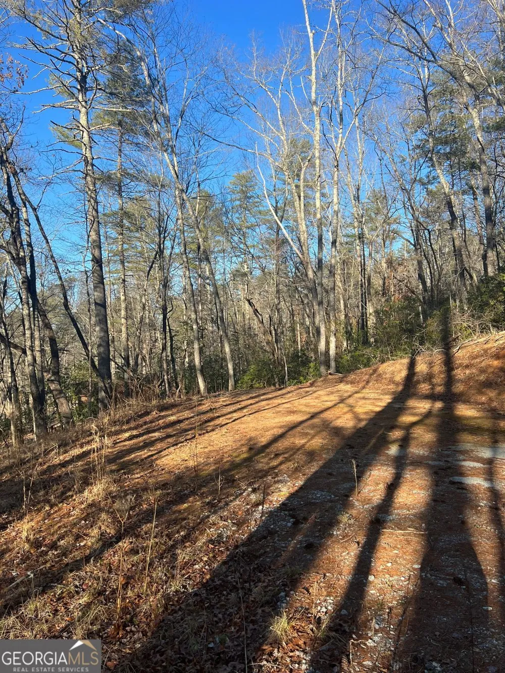 0 Sylvan Lake DR Rabun Gap, GA 30568