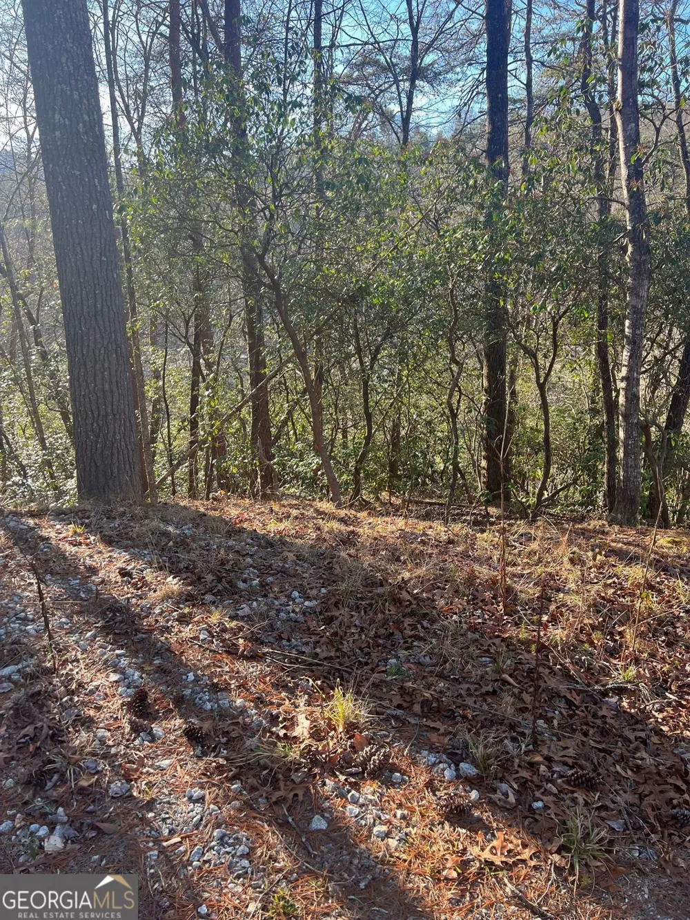 0 Sylvan Lake DR Rabun Gap, GA 30568