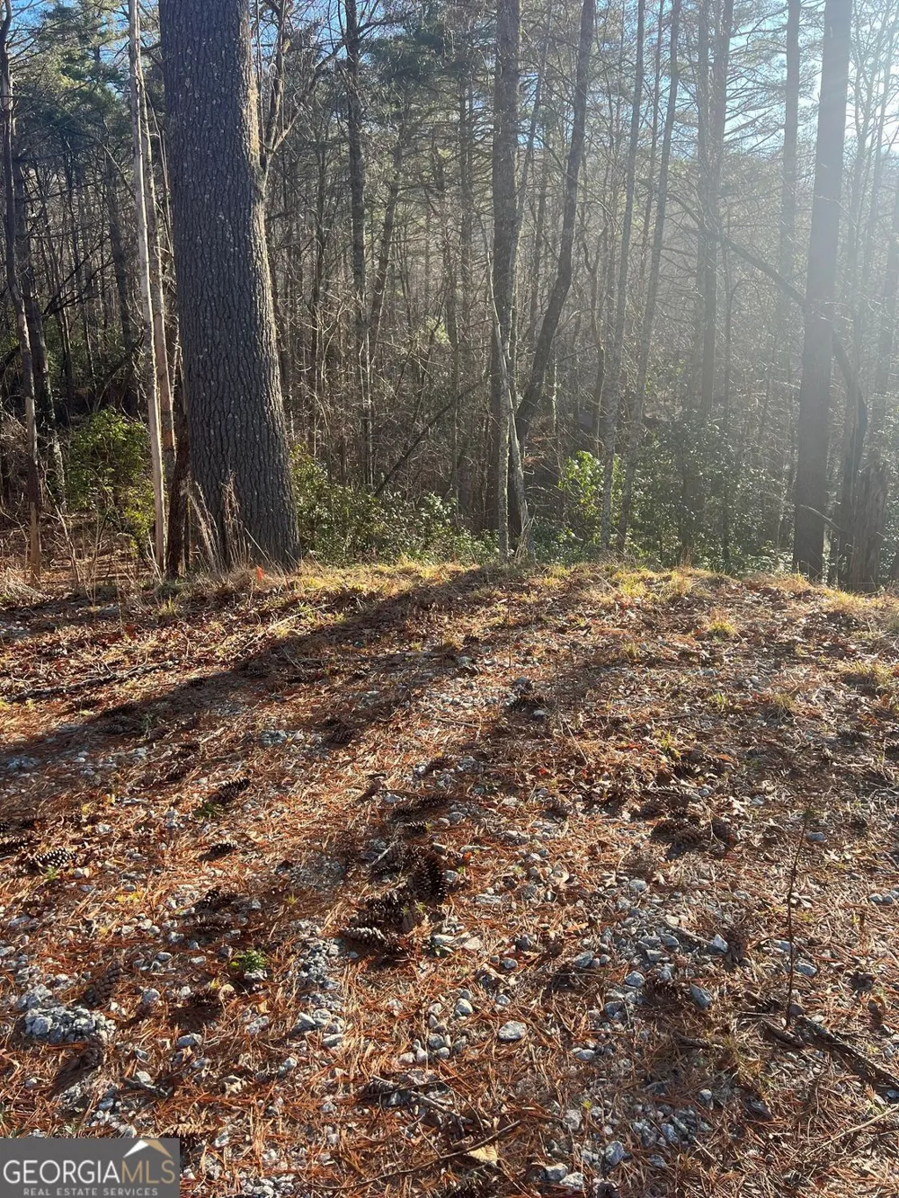 0 Sylvan Lake DR Rabun Gap, GA 30568