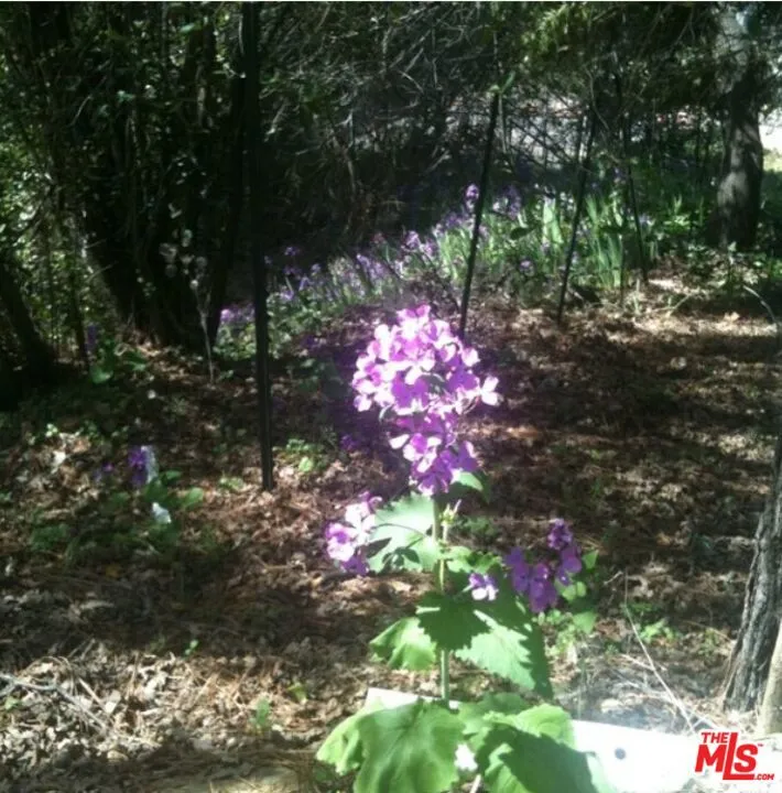 2985 Clay Street Placerville, CA 95667