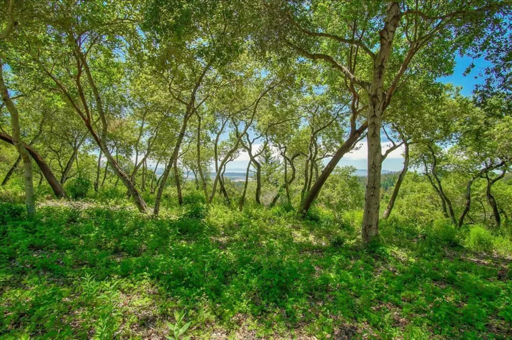 Apple Valley Corralitos, CA 95076