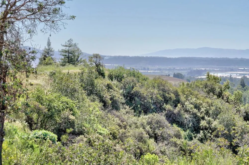 Apple Valley Corralitos, CA 95076
