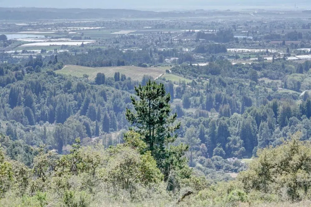 Apple Valley Corralitos, CA 95076