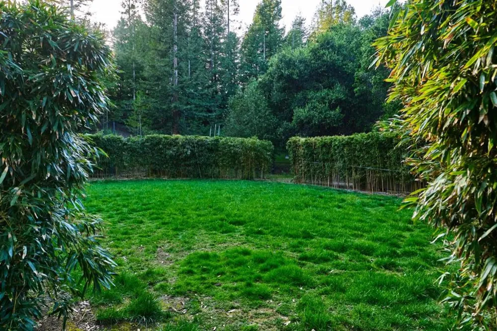 24301 Elise Court Los Altos Hills, CA 94024