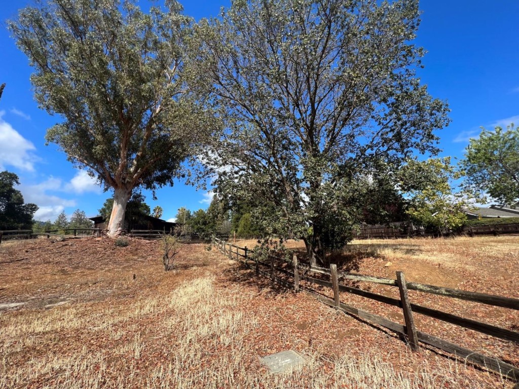 15275 Elm Park