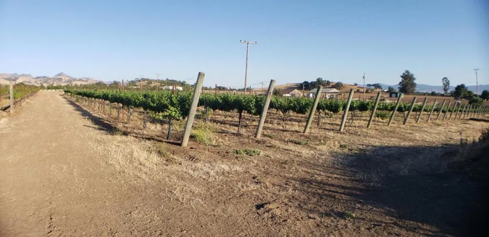 847 Orchard Road Hollister, CA 95023