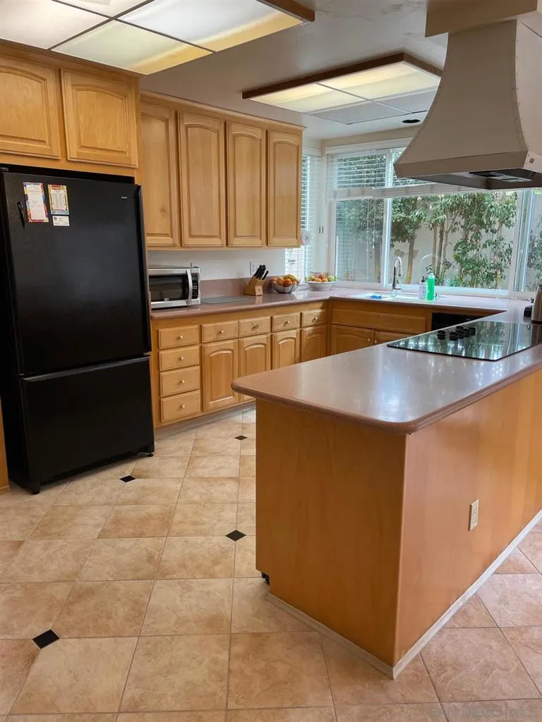 8206 Caminito Lacayo La Jolla, CA 92037