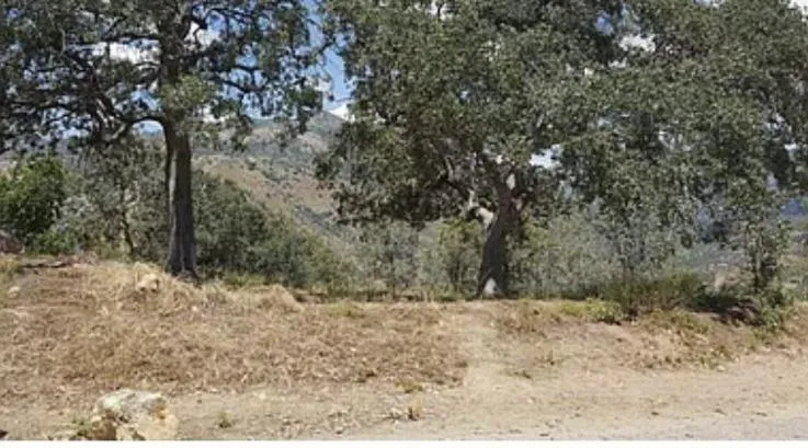 29170 TERESA SPRING ROAD Tollhouse, CA 93667