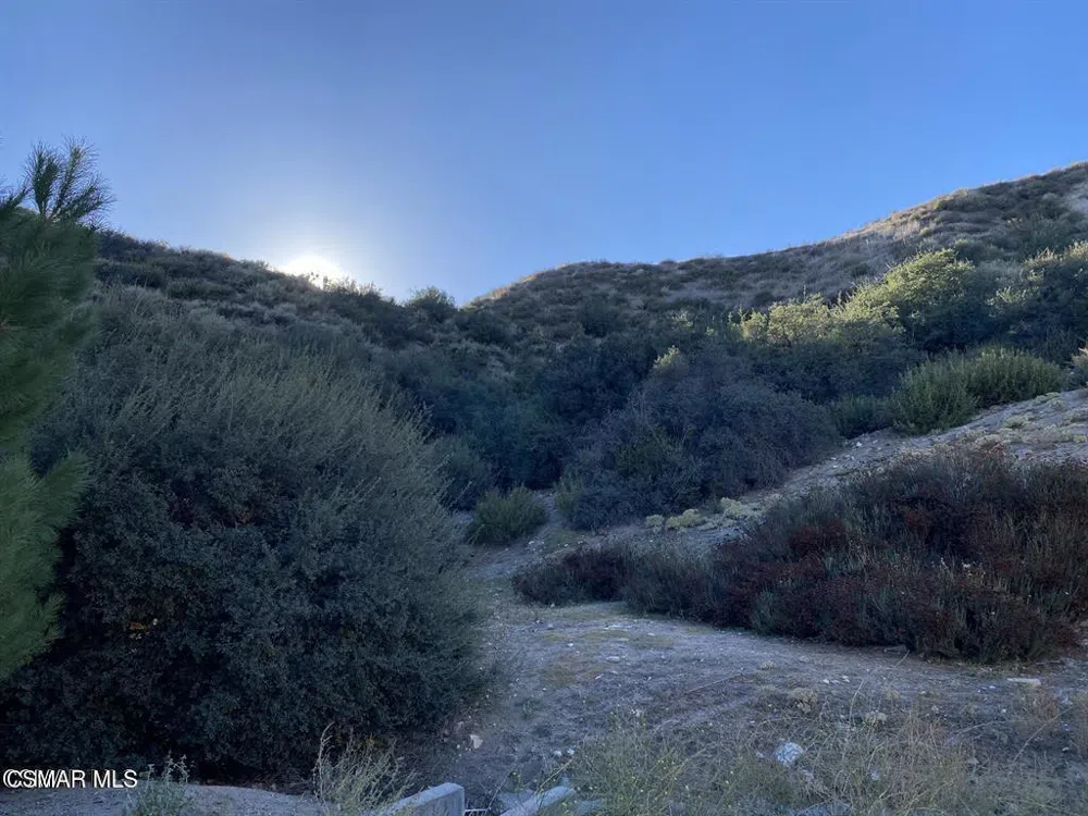 Shadow Valley Lane Saugus, CA 91390