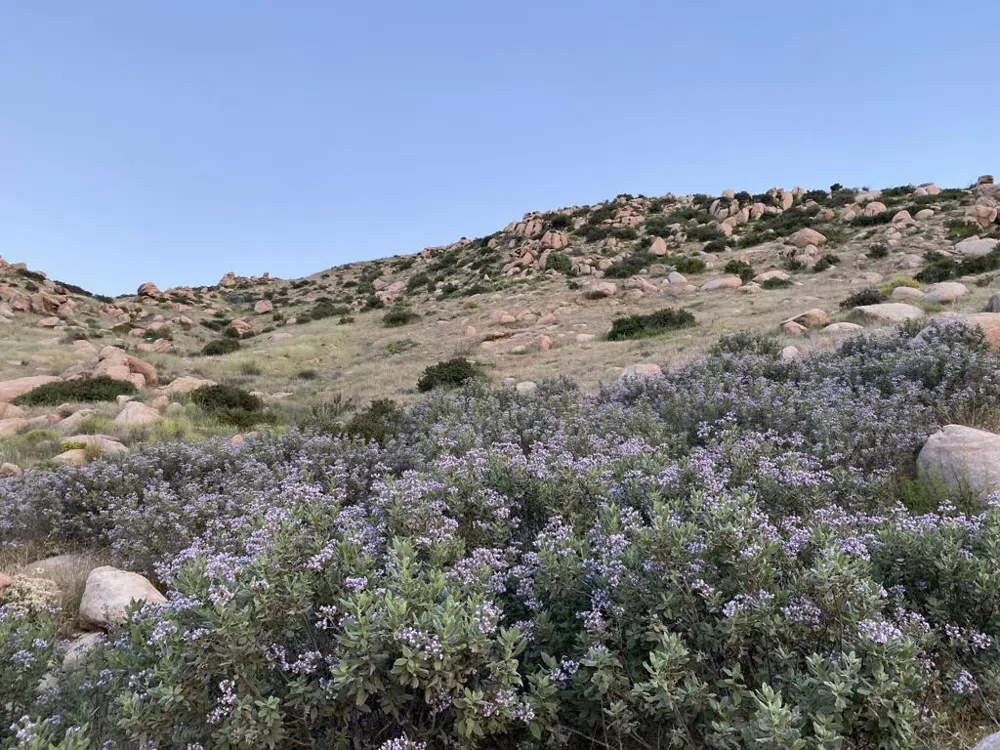 Apn# 543190009 (1.65 Acres) Banning, CA 92220