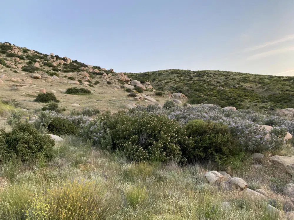 Apn# 543190009 (1.65 Acres) Banning, CA 92220