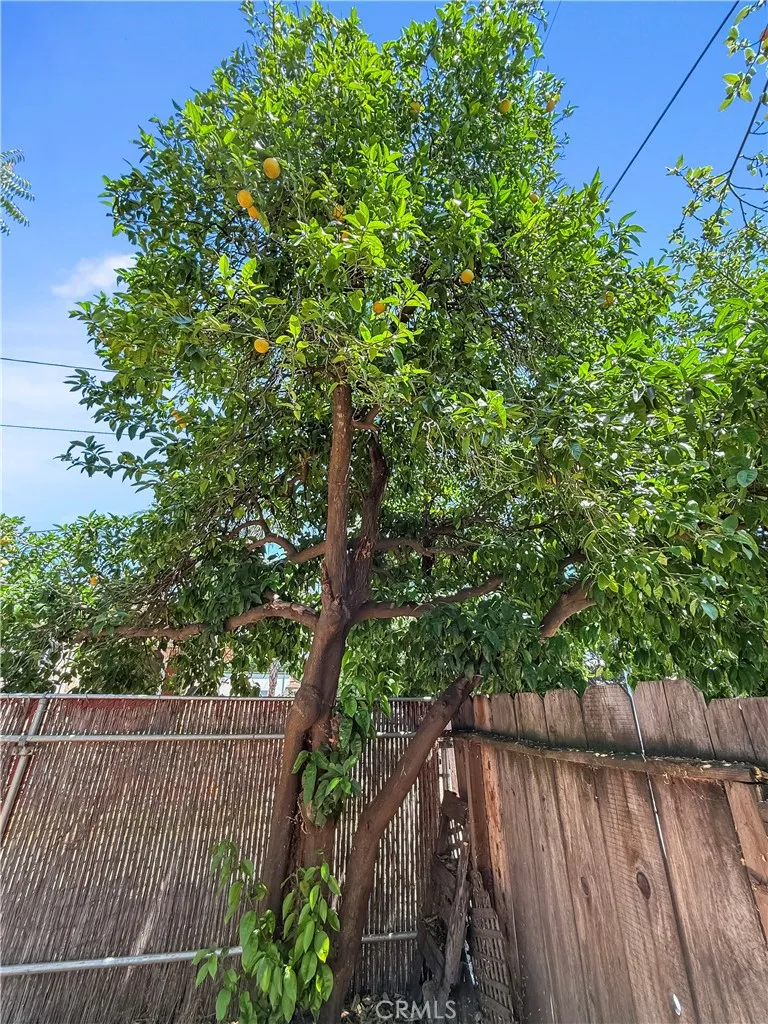 1685 Washington Avenue Oroville, CA 95966