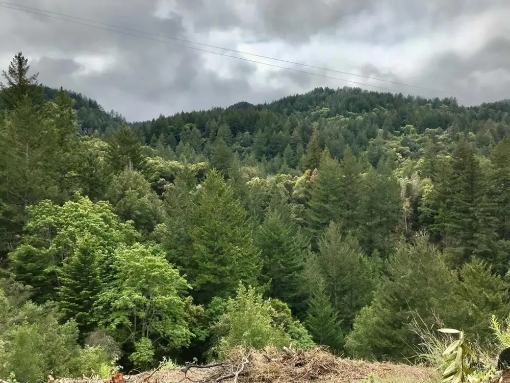 16503 Sanborn Road Saratoga, CA 95070