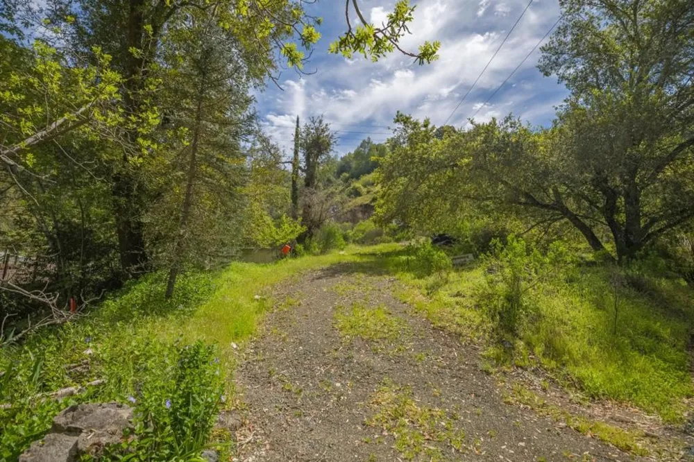 16503 Sanborn Road Saratoga, CA 95070