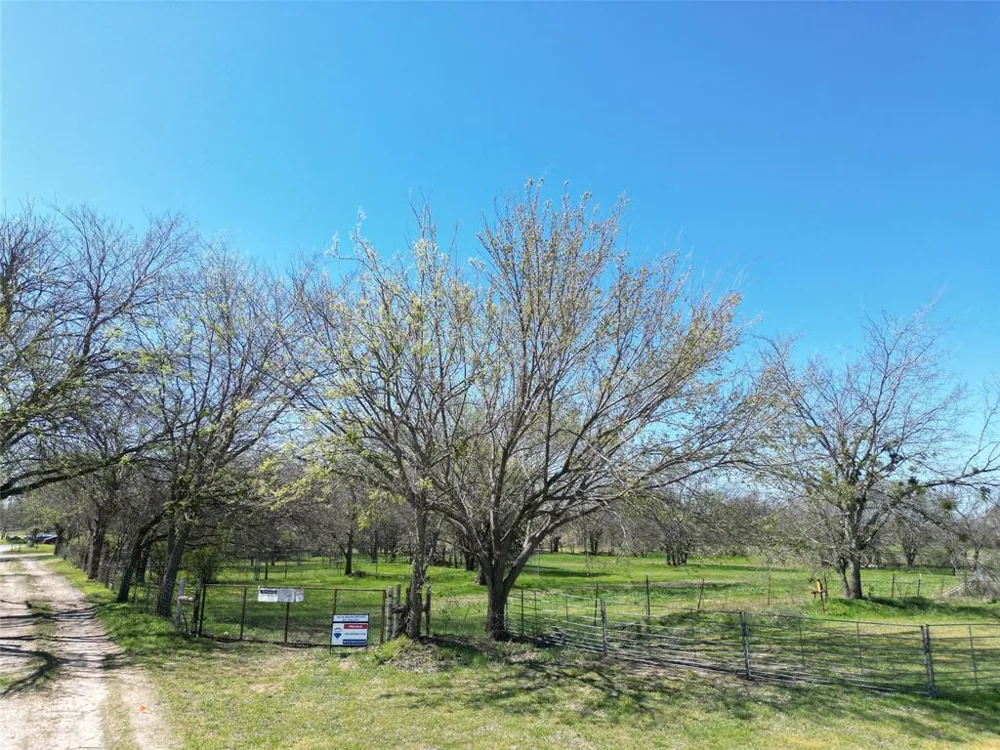 Mimosa Street Paradise, TX 76073