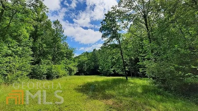 2243 Damascus RD Ball Ground, GA 30107