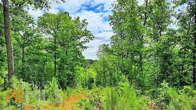 2243 Damascus RD Ball Ground, GA 30107