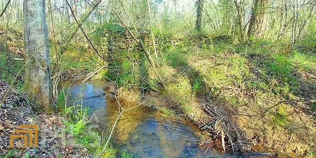 2243 Damascus RD Ball Ground, GA 30107