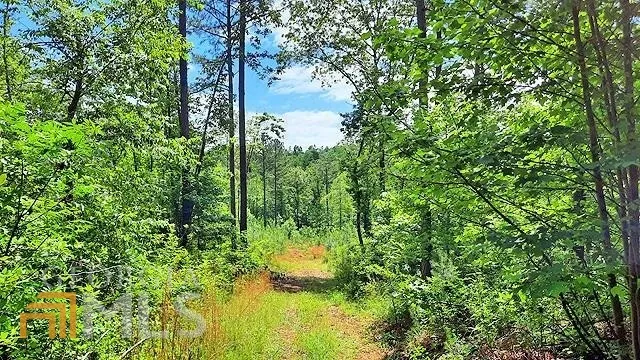 2243 Damascus RD Ball Ground, GA 30107