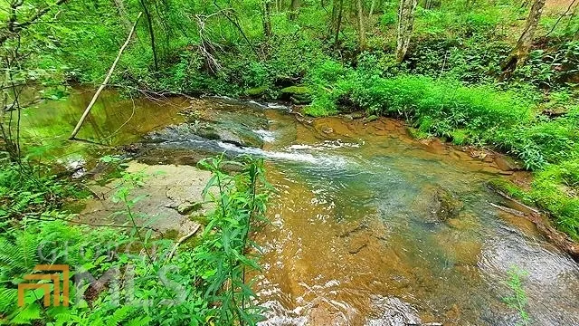 2243 Damascus RD Ball Ground, GA 30107