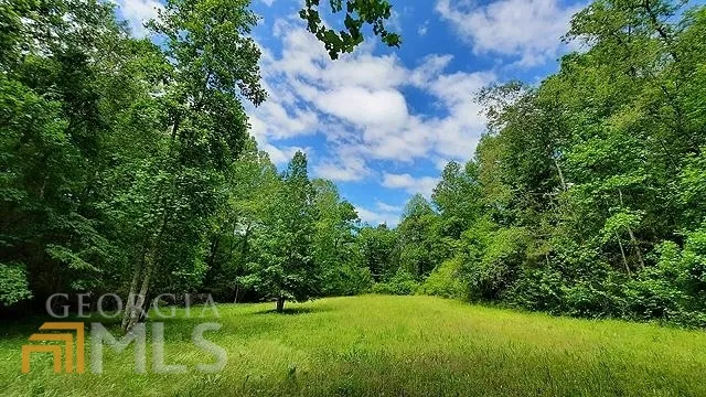2243 Damascus RD Ball Ground, GA 30107