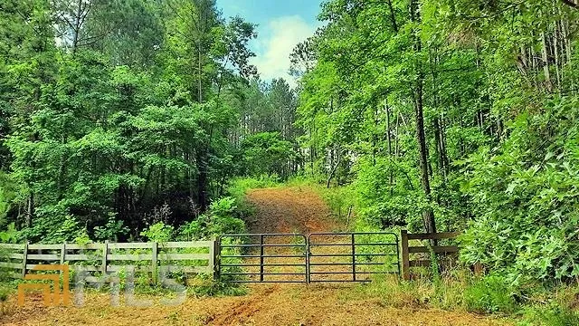 2243 Damascus RD Ball Ground, GA 30107