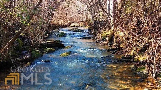 2243 Damascus RD Ball Ground, GA 30107