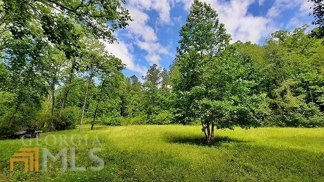 2243 Damascus RD Ball Ground, GA 30107