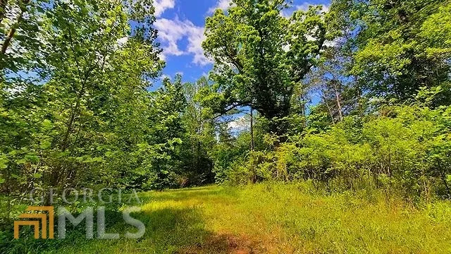 2243 Damascus RD Ball Ground, GA 30107