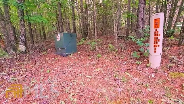 2243 Damascus RD Ball Ground, GA 30107