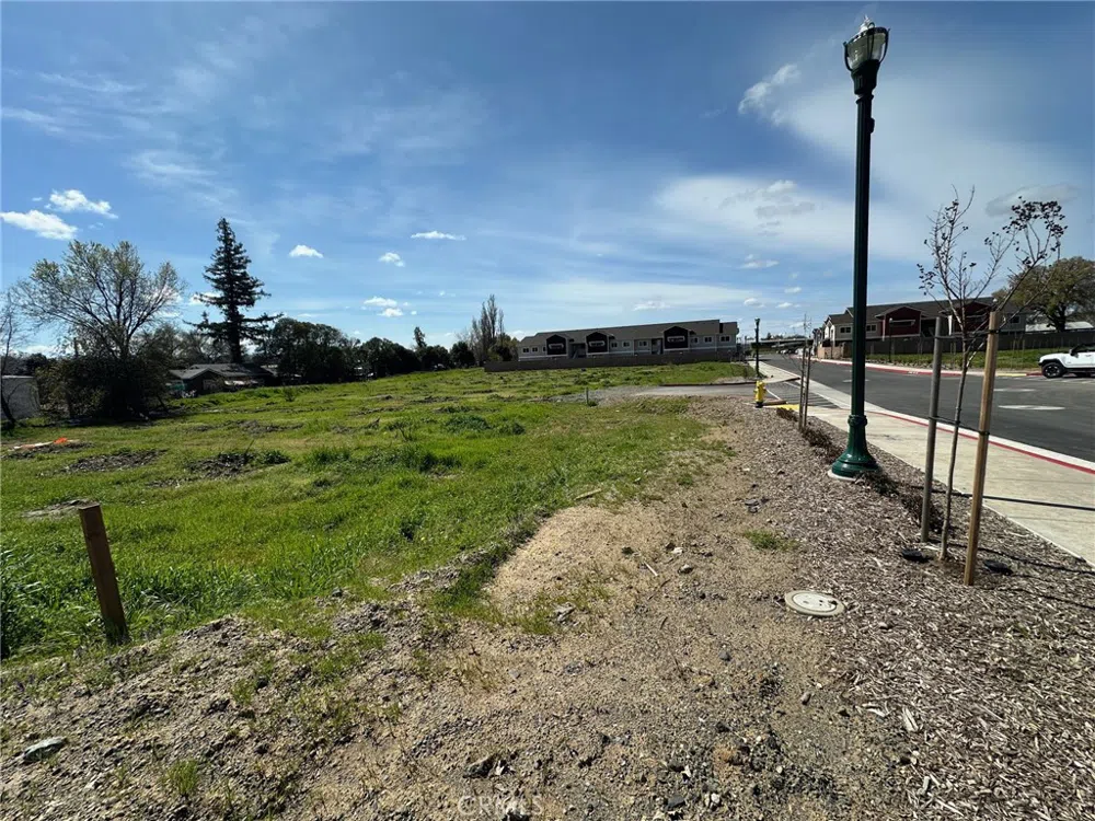 1425 HWY 99 Gridley, CA 95948