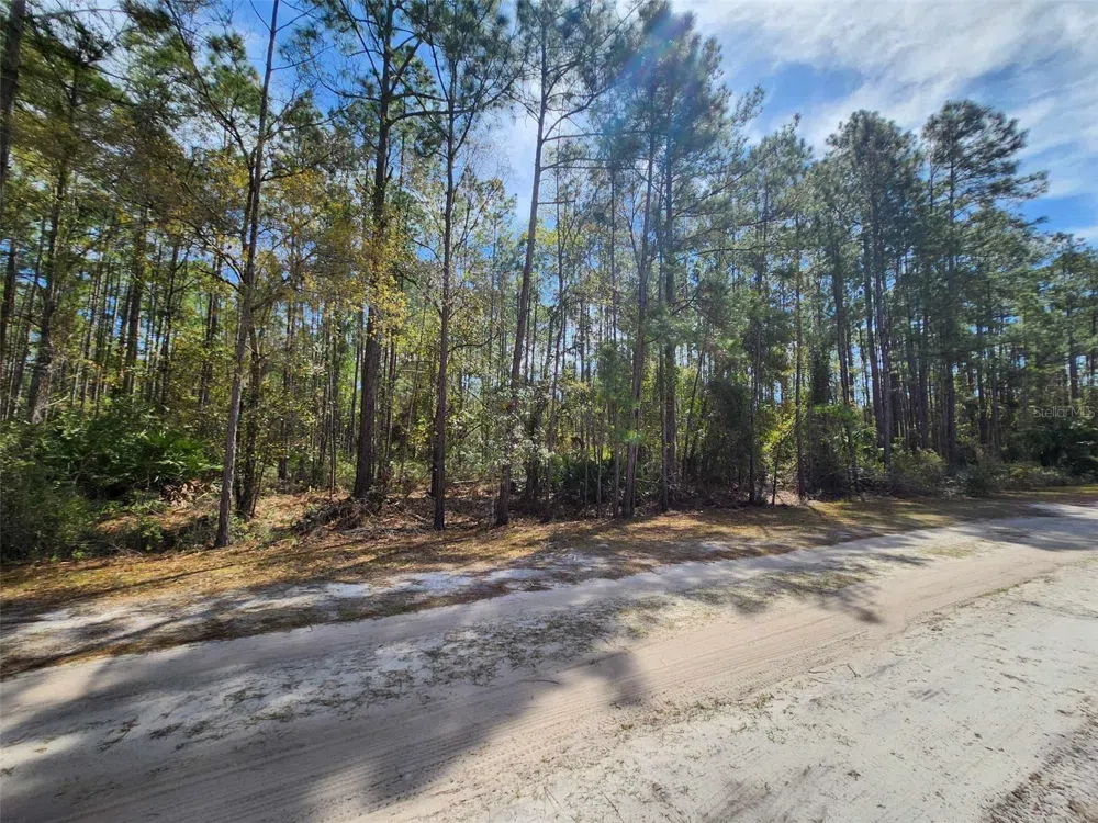 116 MOSSWOOD STREET Georgetown, FL 32139