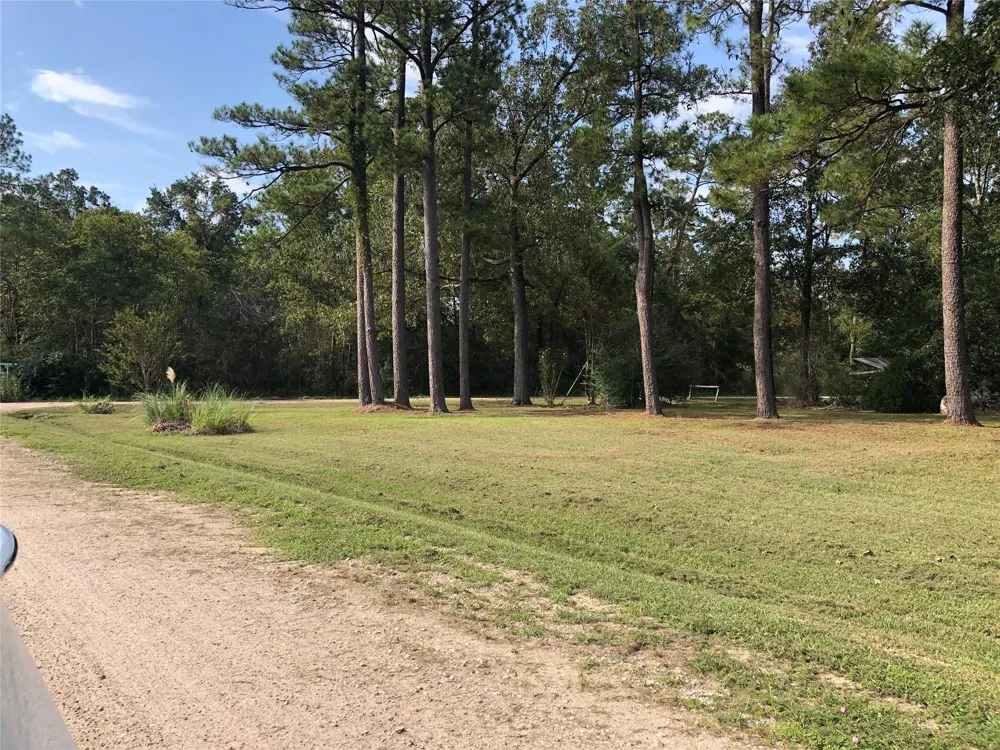 523 Petersburg Drive Goodrich, TX 77335