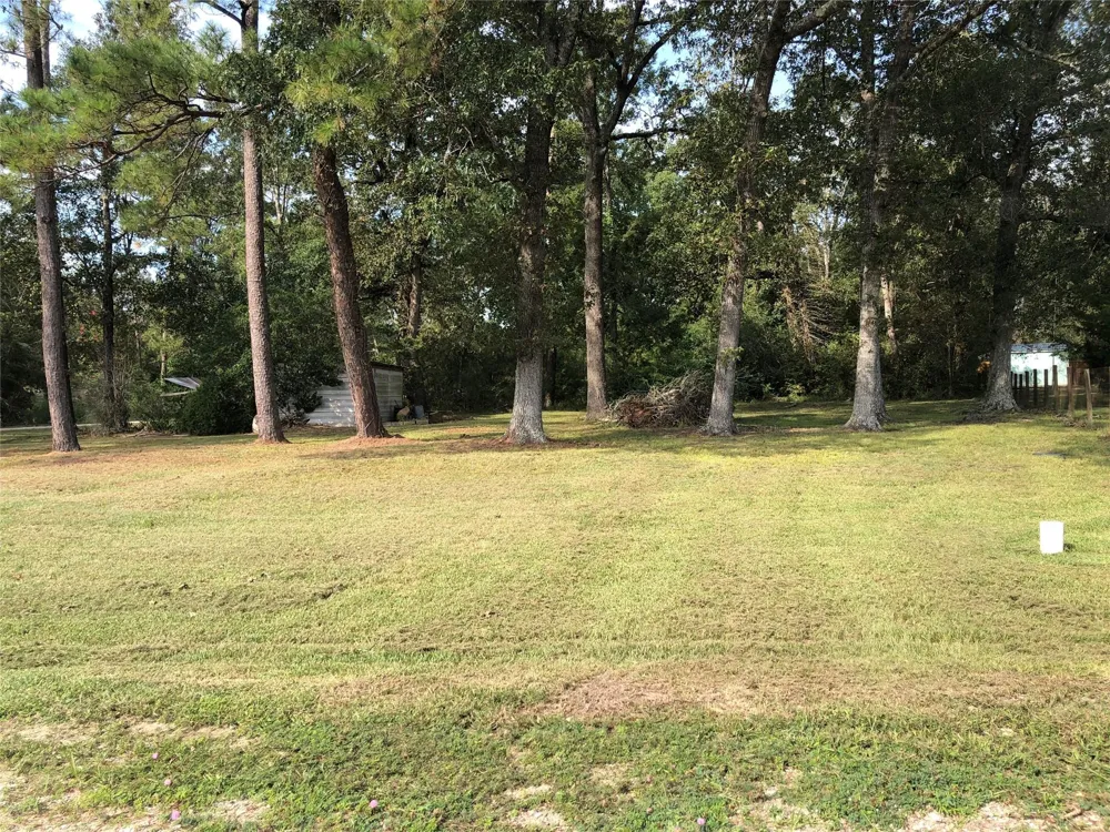 523 Petersburg Drive Goodrich, TX 77335