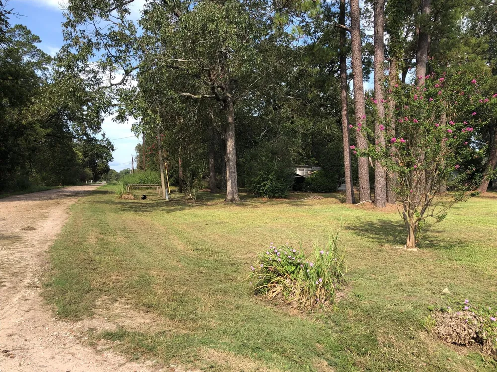523 Petersburg Drive Goodrich, TX 77335