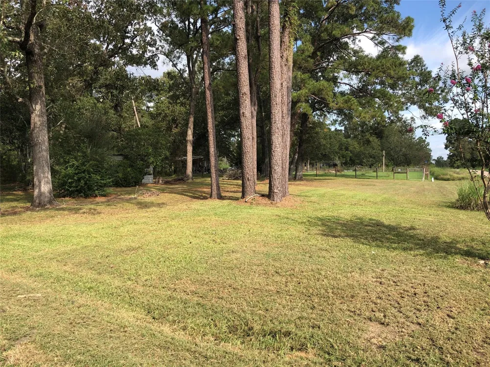 523 Petersburg Drive Goodrich, TX 77335