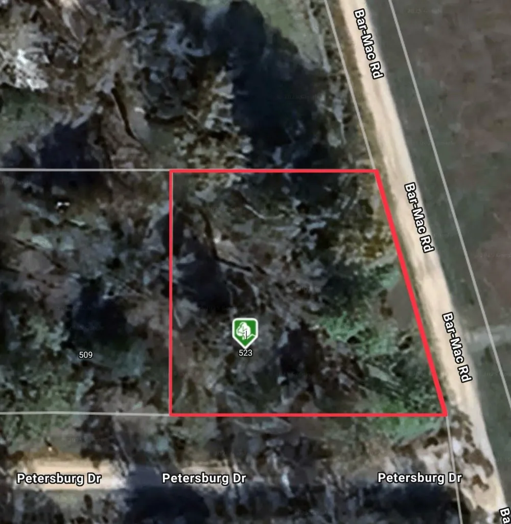 523 Petersburg Drive Goodrich, TX 77335