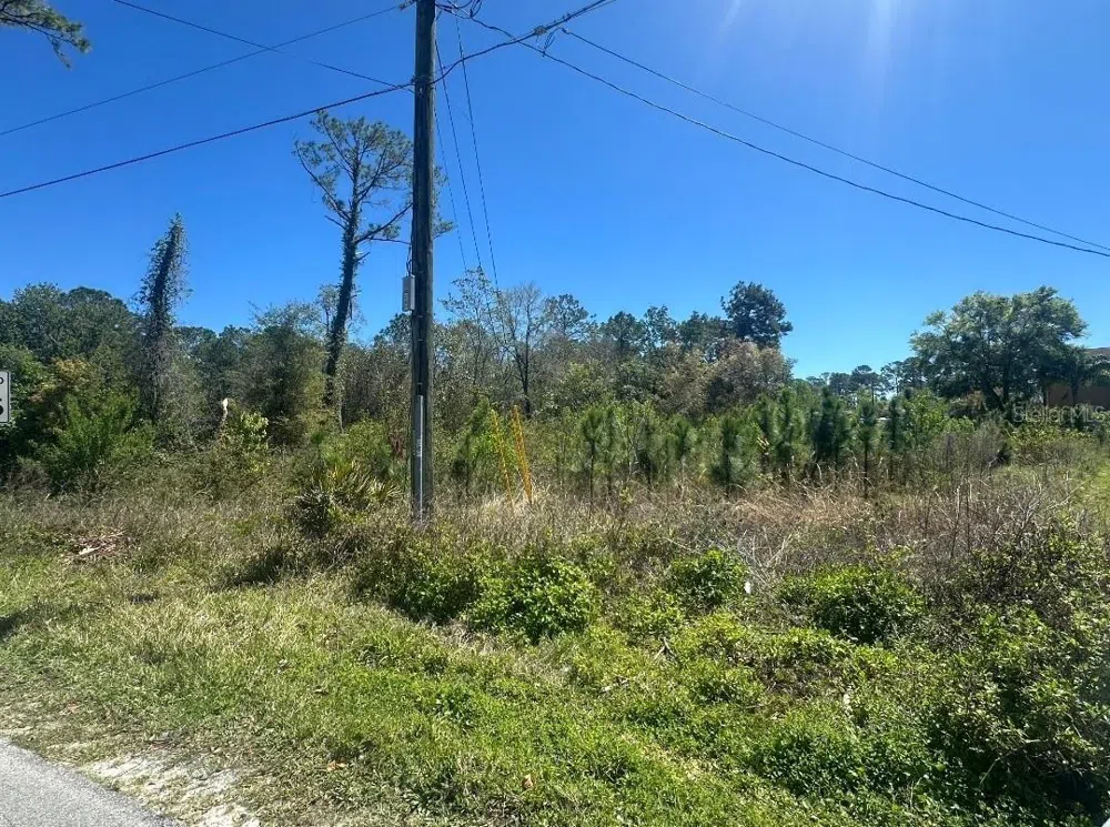 2548 E LAKE DRIVE Deland, FL 32724