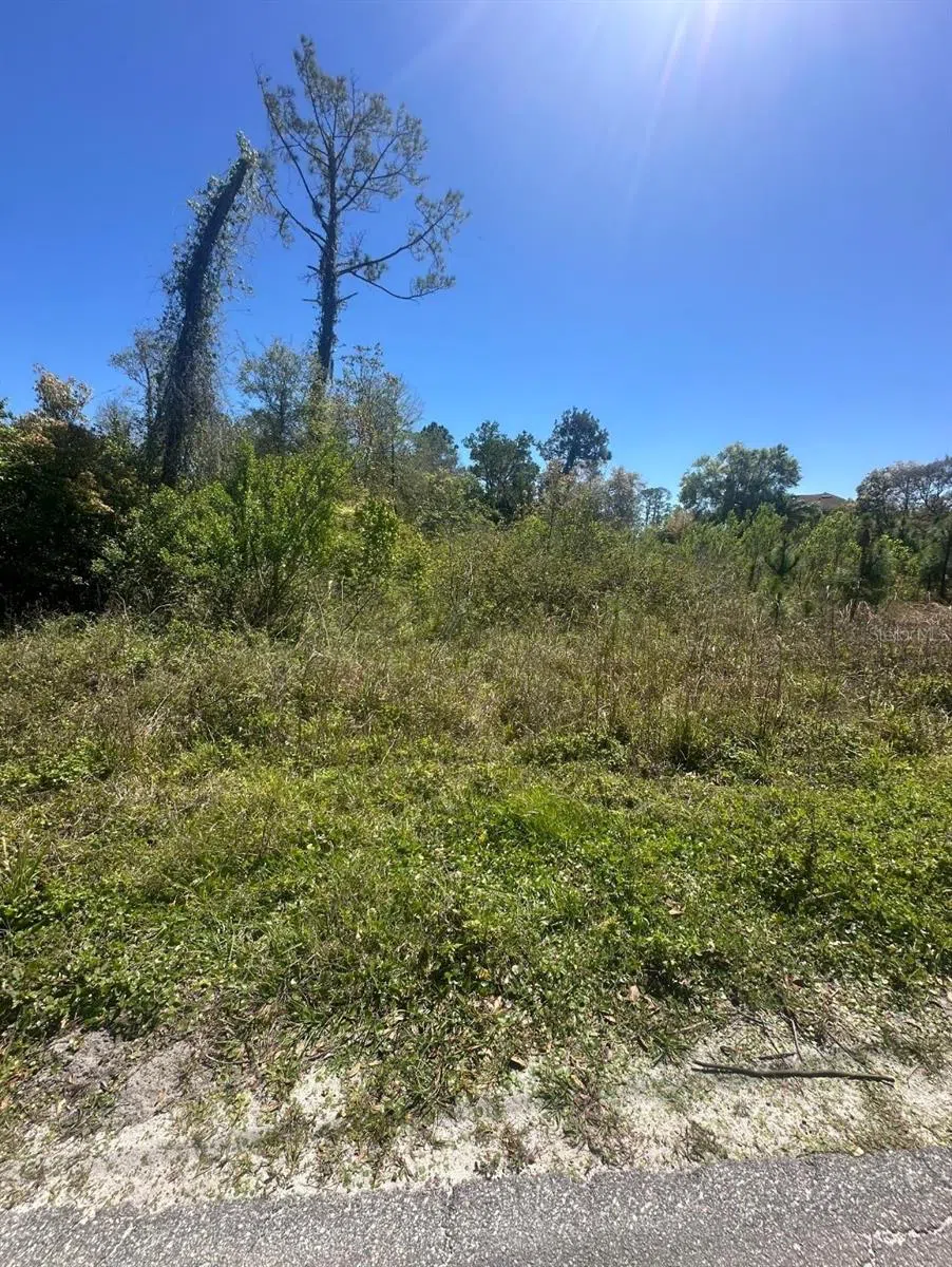 2548 E LAKE DRIVE Deland, FL 32724